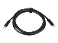 Lenovo USB-Kabel - USB-C (M) zu USB-C (M)