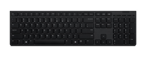 Lenovo Professional - Tastatur - kabellos - 2.4