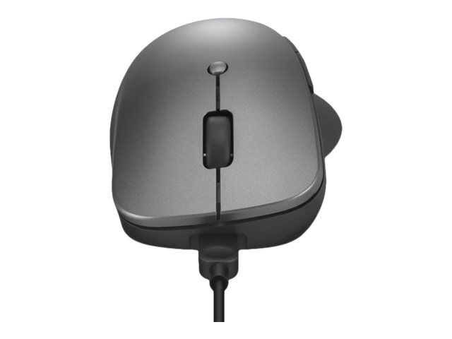 Lenovo Professional - Maus - ergonomisch - optisch