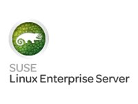 HPE SuSE Linux Enterprise Server Flexible License - Abonnement (3 Jahre)