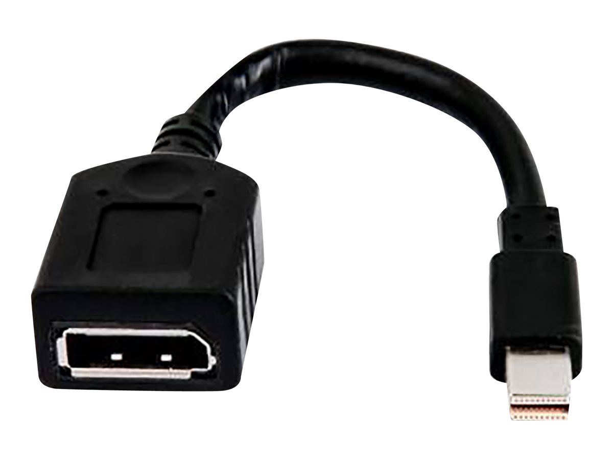 HP  DisplayPort-Adapter - Mini DisplayPort (M)