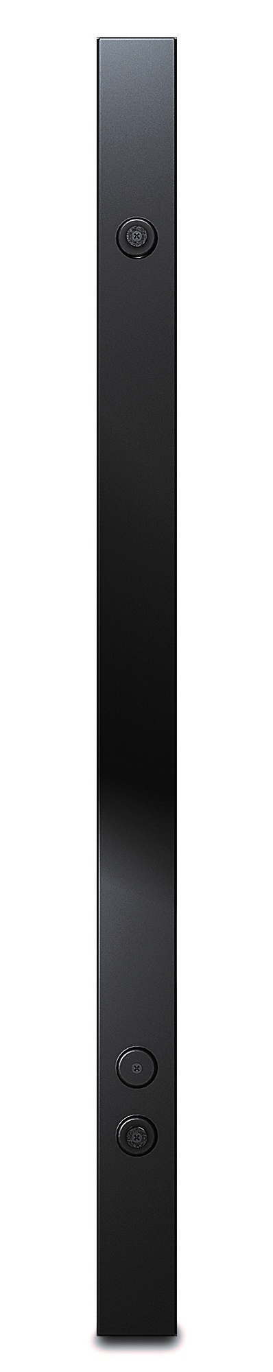 APC Switched Rack PDU 2G Zero U - Steckdosenleiste (Rack - einbaufähig)